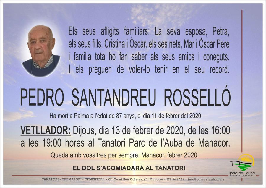 PEDRO SANTANDREU ROSSELLÓ