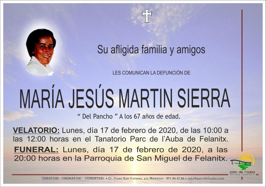 MARIA JESUS MARTIN SIERRA