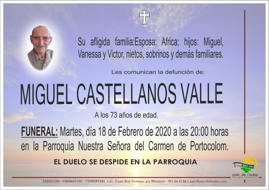 MIGUEL CASTELLANOS VALLE