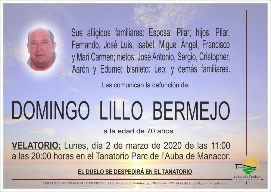 DOMINGO LILLO BERMEJO
