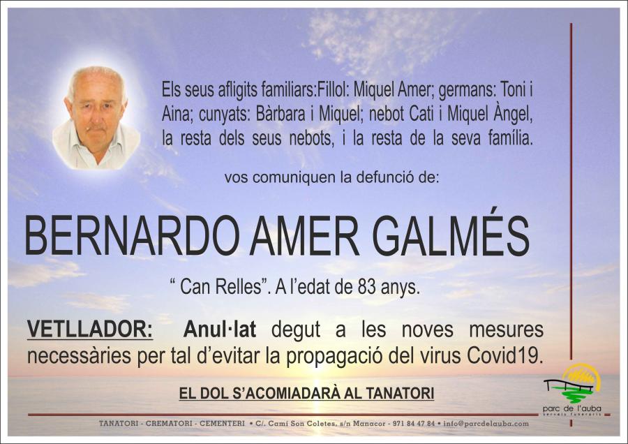 BERNARDO AMER GALMES