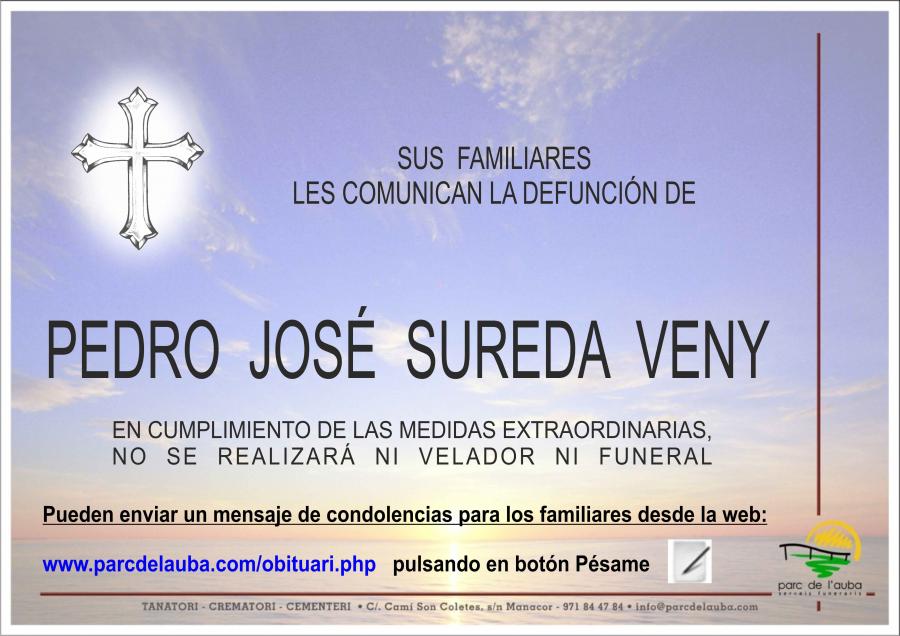 PEDRO JOSÉ  SUREDA VENY
