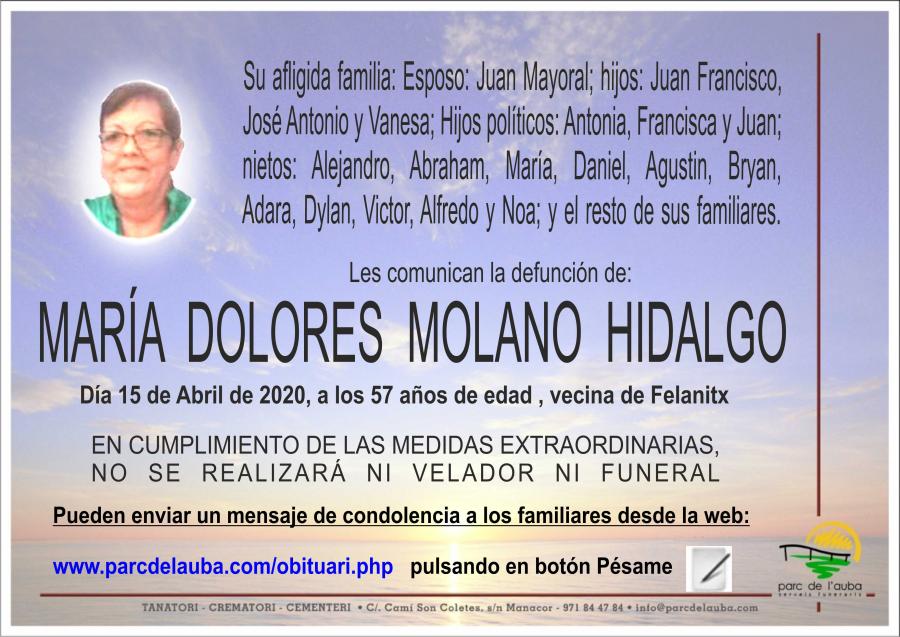 MARÍA DOLORES MOLANO HIDALGO