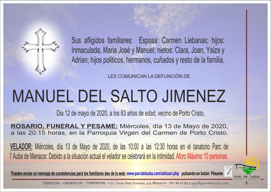 MANUEL  DEL SALTO JIMENEZ