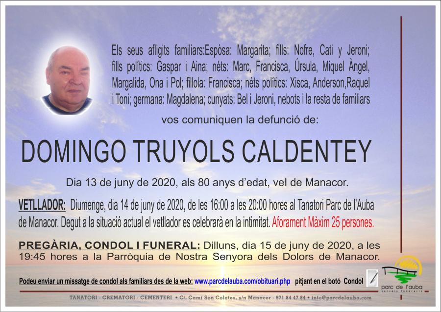 DOMINGO TRUYOLS CALDENTEY