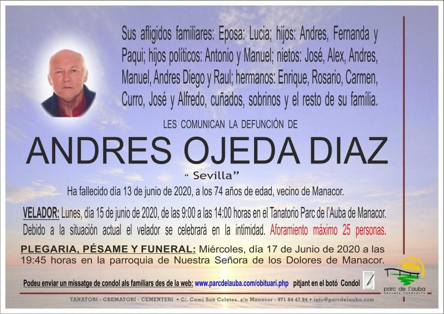 ANDRES OJEDA DIAZ