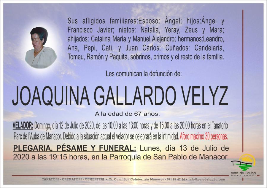 JOAQUINA GALLARDO VELYZ