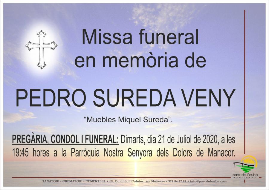 PEDRO SUREDA VENY