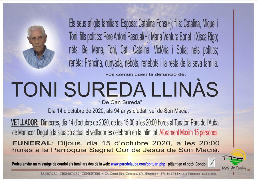 TONI  SUREDA LLINÀS