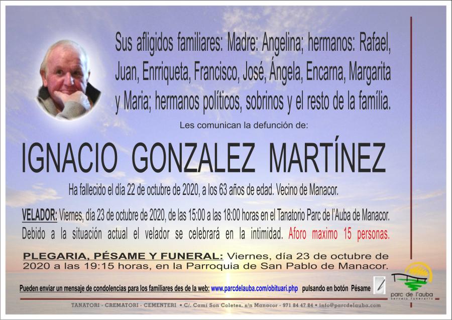 IGNACIO GONZALEZ MARTÍNEZ