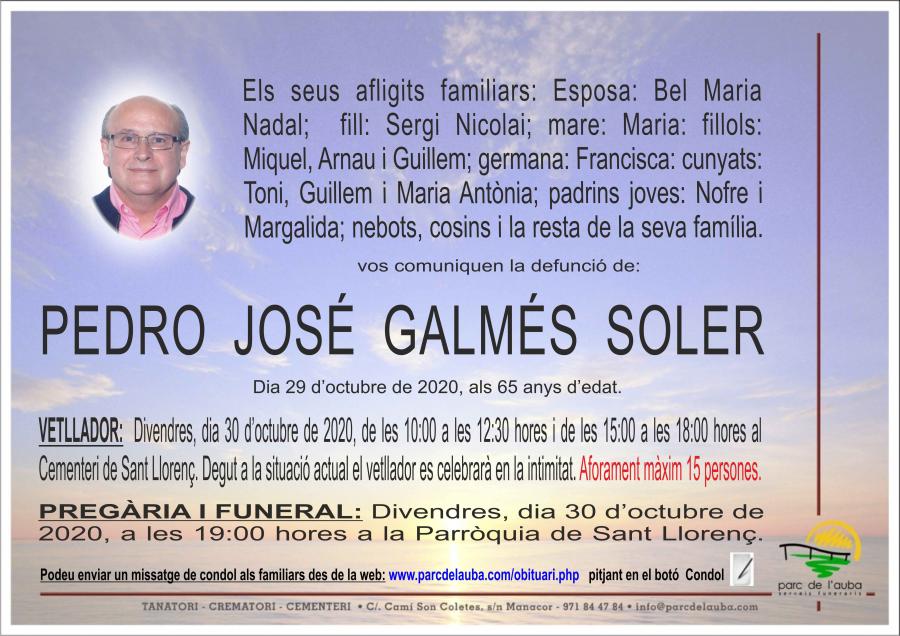 PEDRO JOSÉ  GALMÉS SOLER