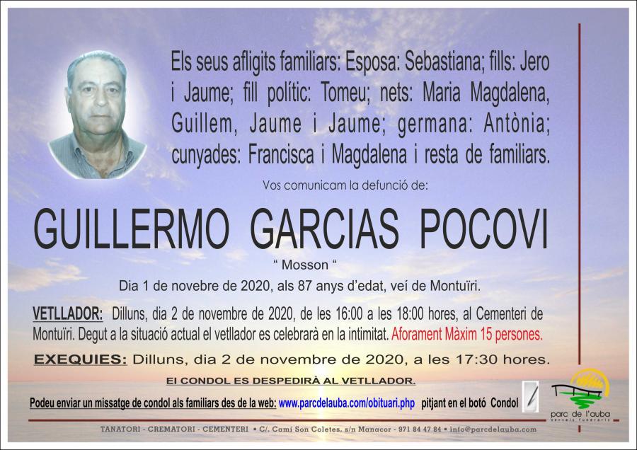 GUILLERMO GARCIAS POCOVI