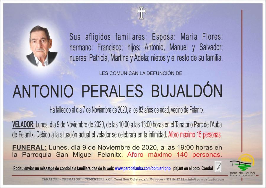 ANTONIO PERALES BUJALDÓN