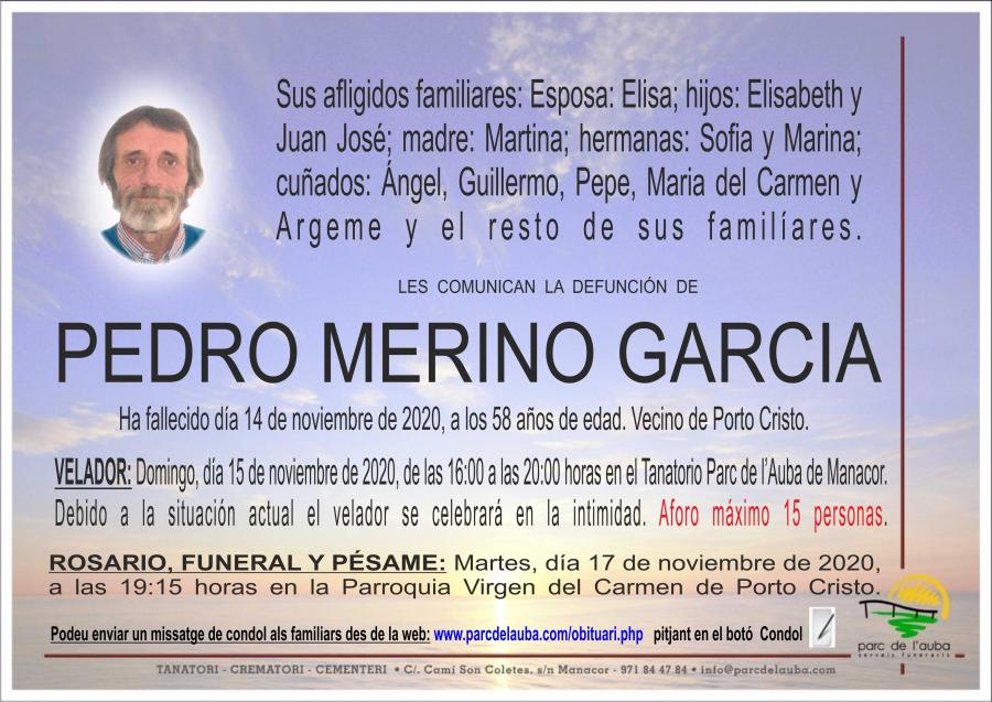 PEDRO MERINO GARCIA