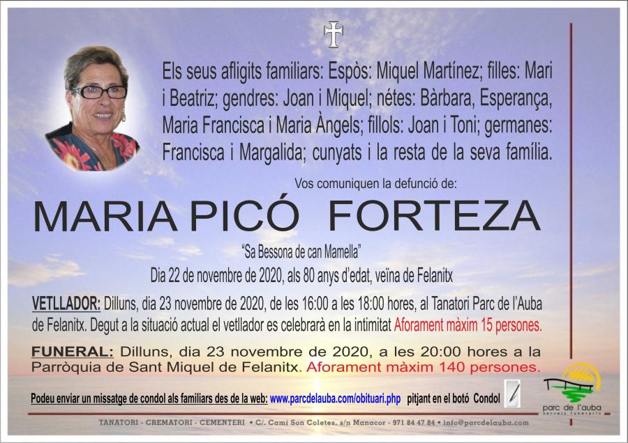 MARIA PICÓ FORTEZA