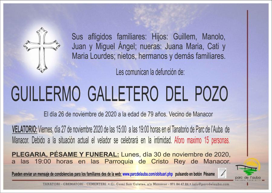 GUILLERMO GALLETERO DEL POZO