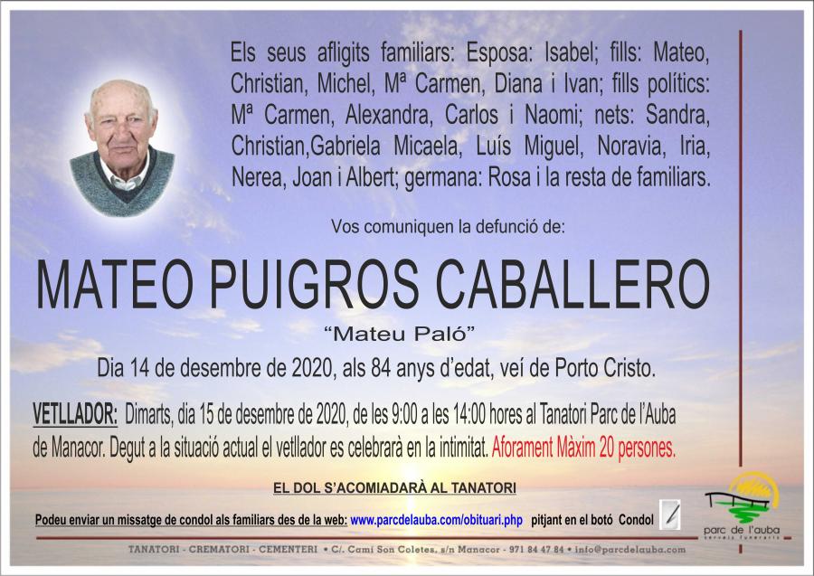 MATEO PUIGROS CABALLERO