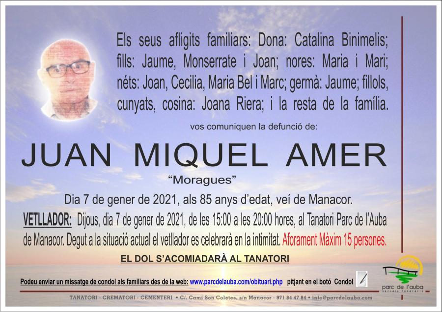 JUAN MIQUEL AMER