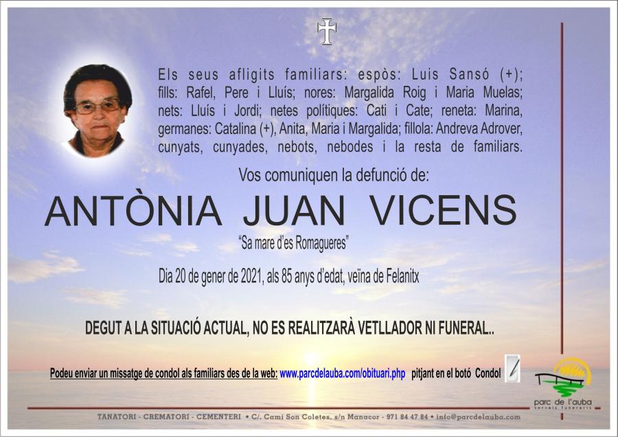 ANTONIA JUAN VICENS