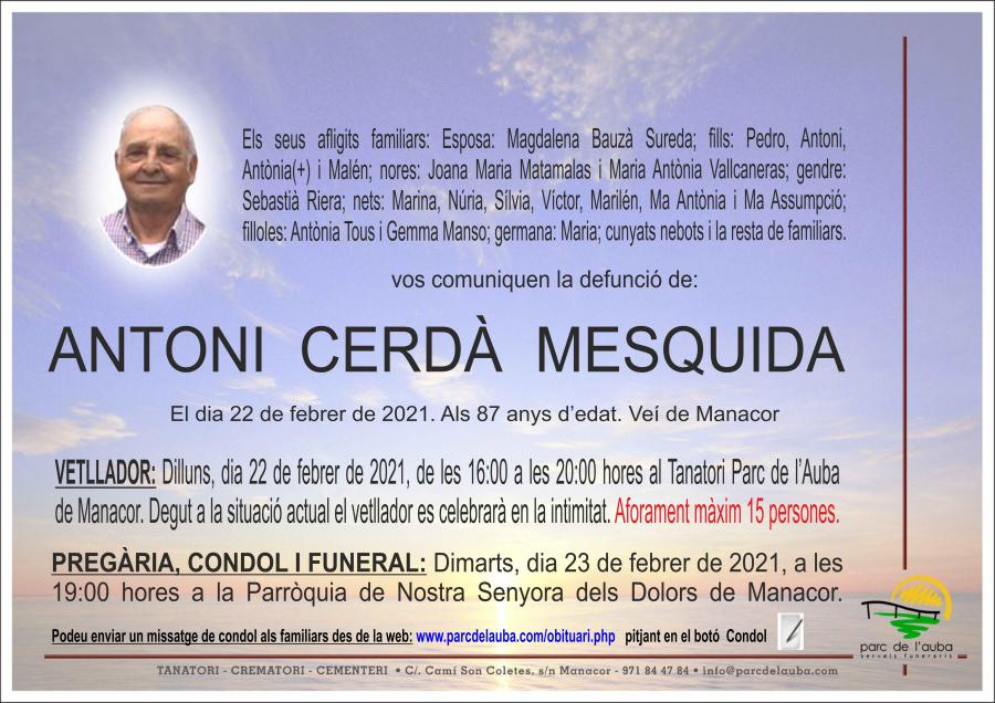 ANTONI CERDÀ MESQUIDA