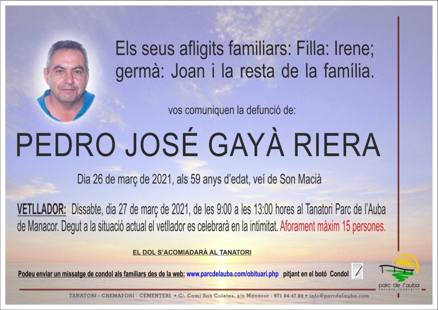 PEDRO JOSÉ GAYÀ RIERA