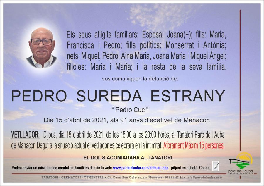 PEDRO SUREDA ESTRANY
