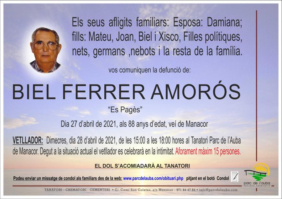 BIEL FERRER AMORÓS