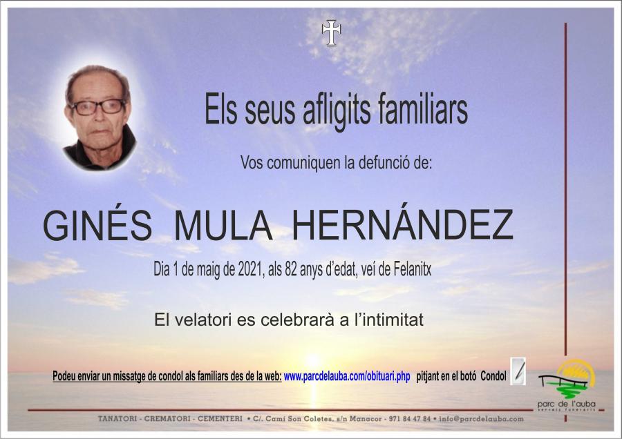 GINES MULA  HERNANDEZ