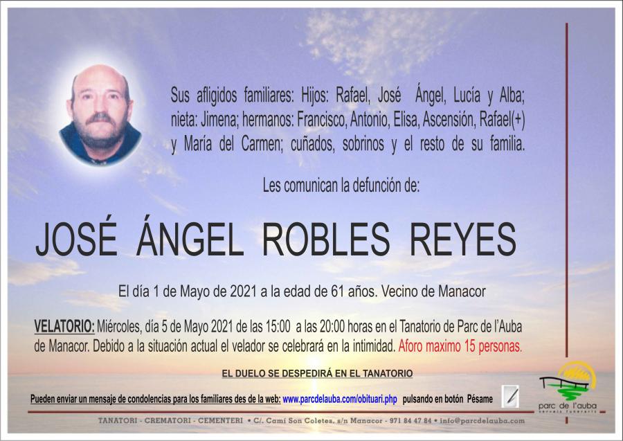 JOSÉ ÁNGEL ROBLES REYES