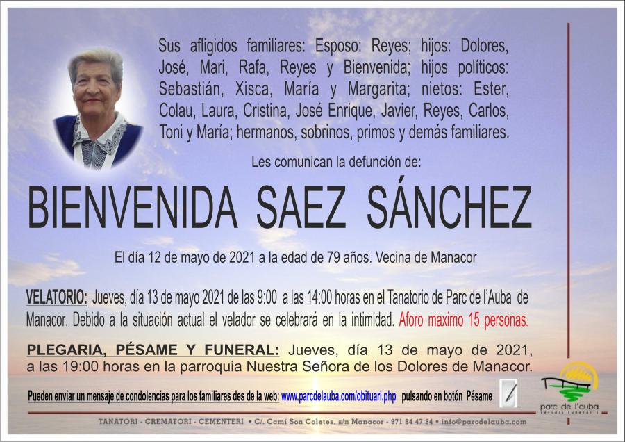 BIENVENIDA SAEZ SANCHEZ