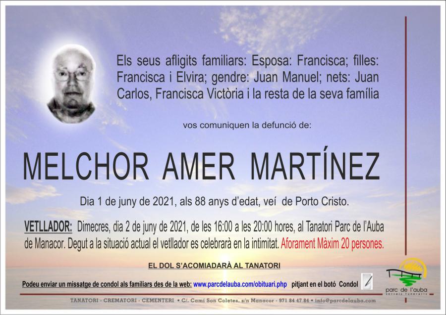 MELCHOR AMER MARTÍNEZ