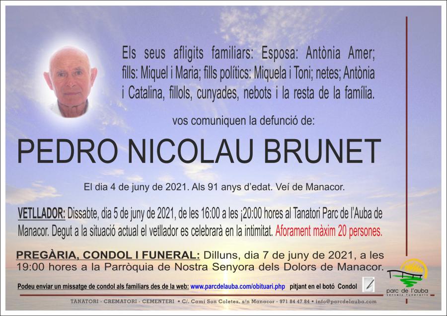 PEDRO NICOLAU BRUNET