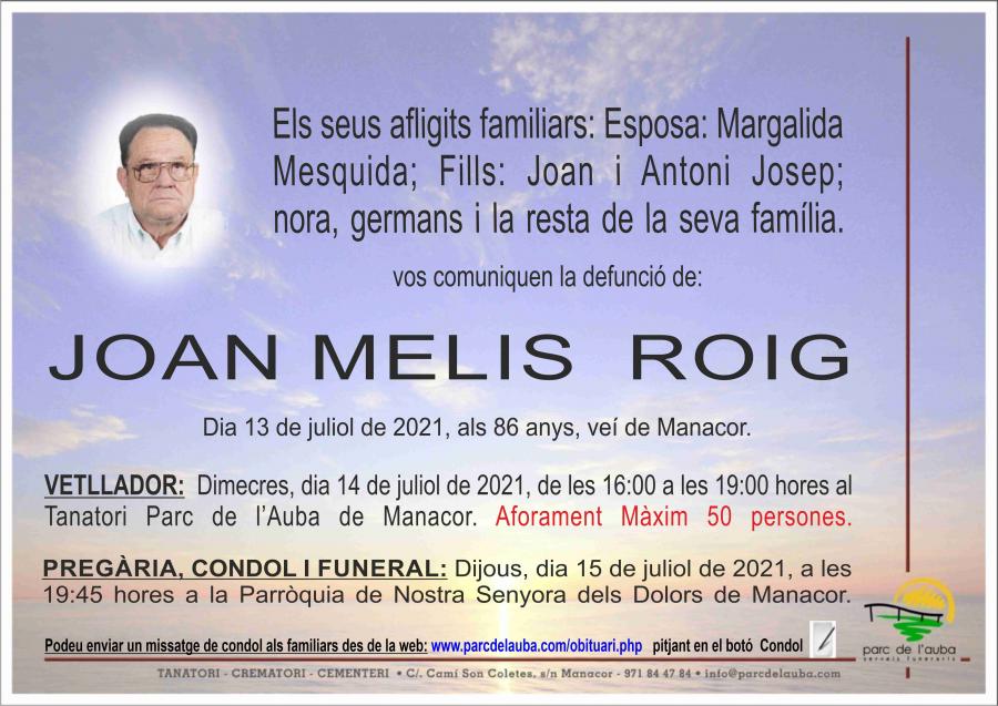 JOAN  MELIS ROIG