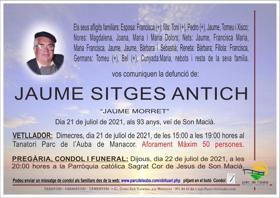 JAUME SITGES ANTICH