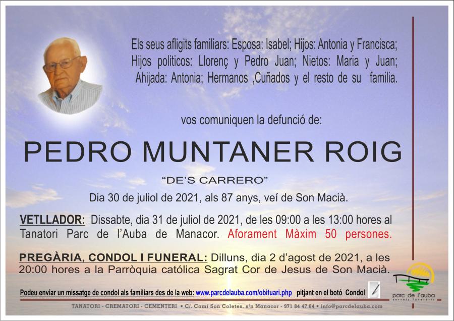 PEDRO  MUNTANER ROIG