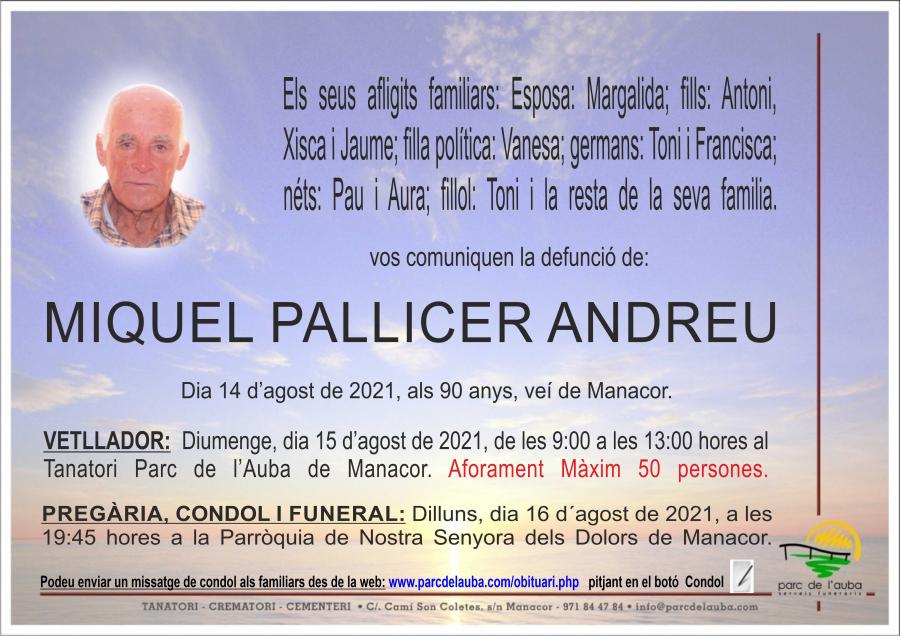 MIQUEL  PALLICER ANDREU