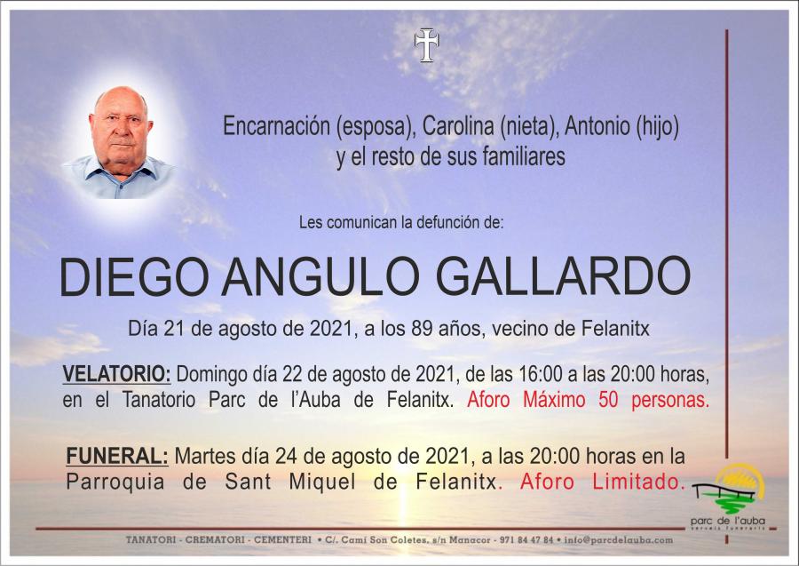 DIEGO ANGULO GALLARDO
