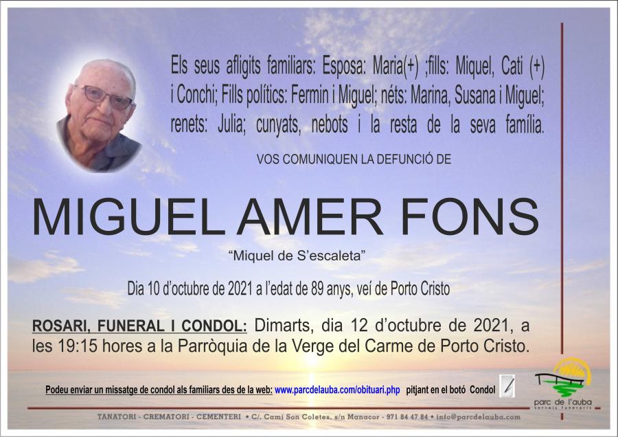 MIGUEL AMER FONS