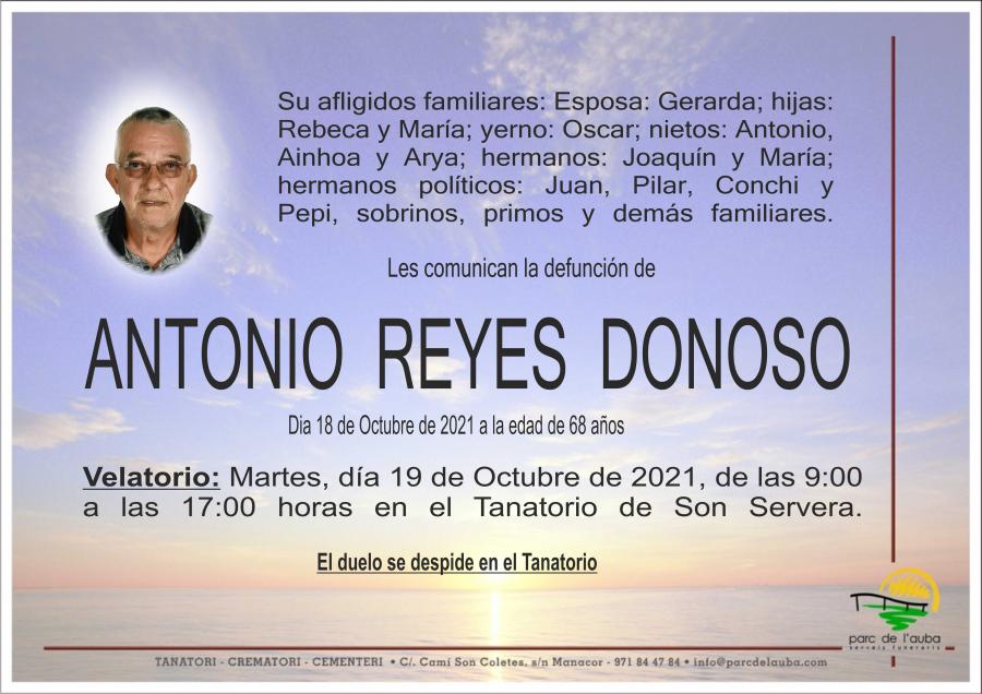 ANTONIO  REYES  DONOSO