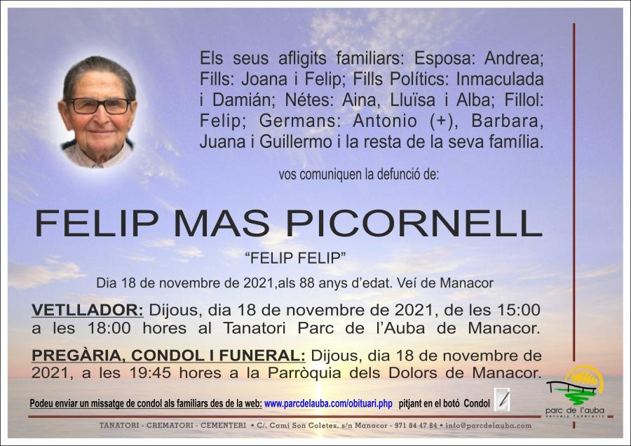 FELIP MAS PICORNELL