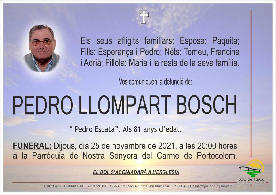 PEDRO  LLOMPART BOSCH