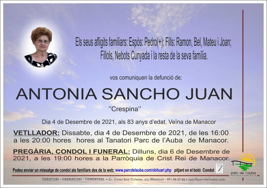 ANTONIA SANCHO JUAN