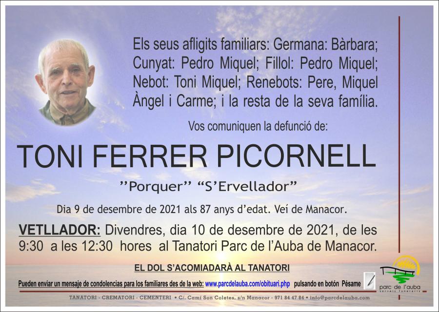 TONI FERRER PICORNELL
