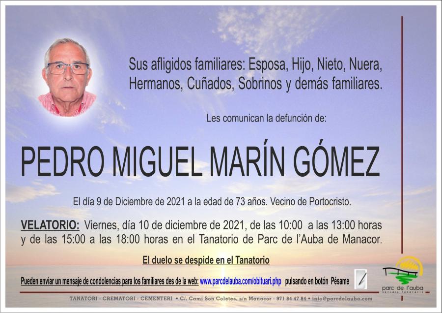 PEDRO MIGUEL MARÍN GÓMEZ