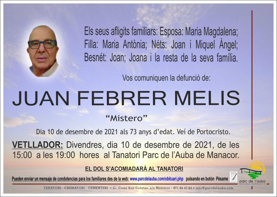 JUAN FEBRER MELIS