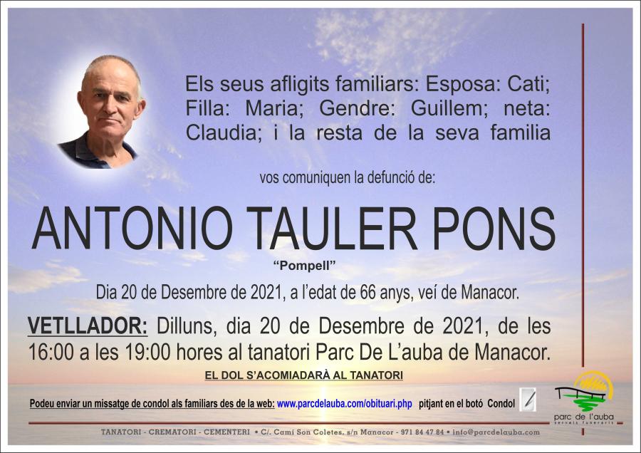 ANTONIO TAULER PONS
