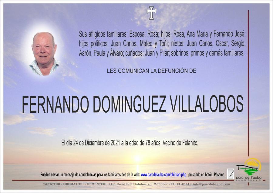 FERNANDO  DOMINGUEZ VILLALOBOS