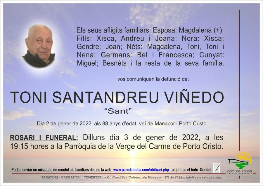 TONI SANTANDREU VIÑEDO