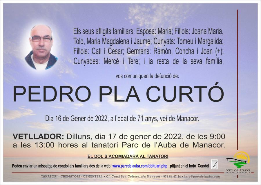 PEDRO PLA CURTÓ