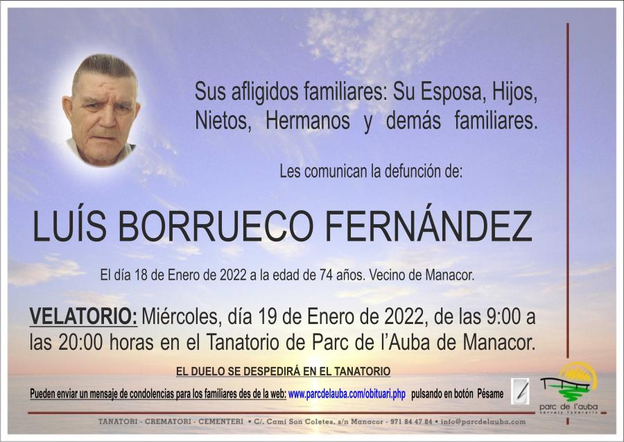 LUÍS  BORRUECO FERNÁNDEZ